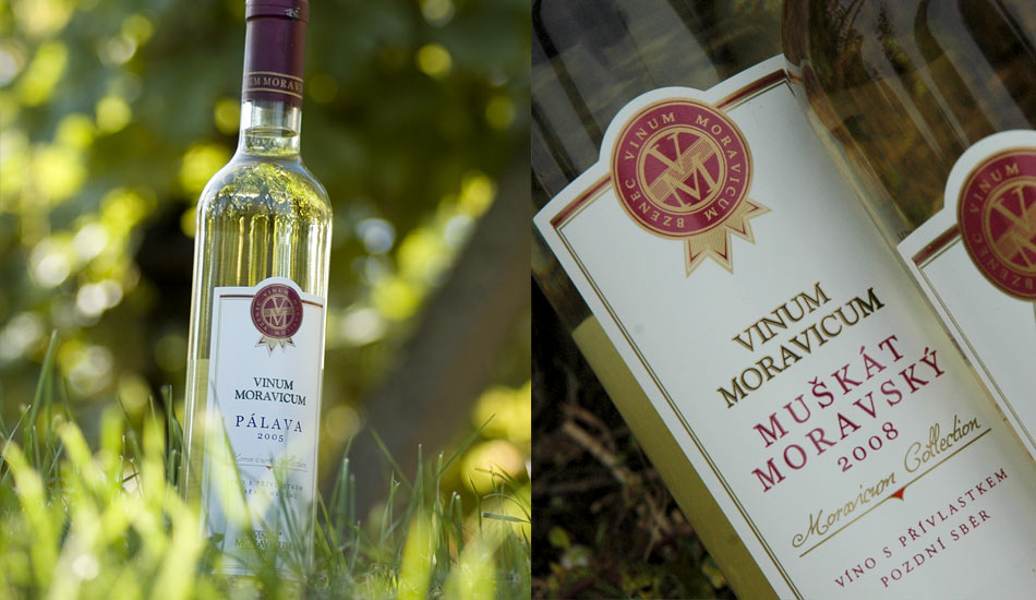 Návrh vinařské etikety - pro Vinařství VINUM MORAVICIM